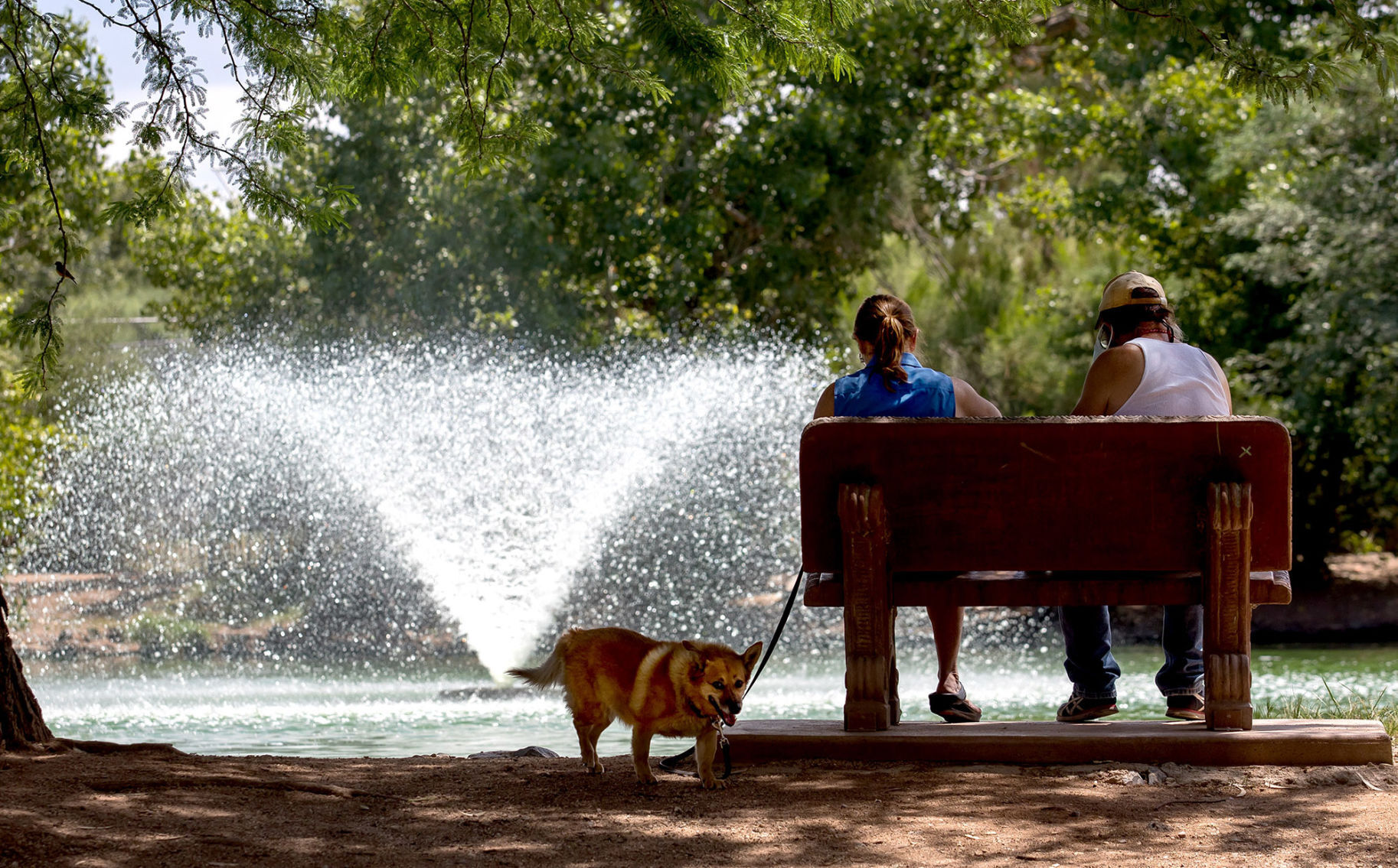 Hot weather, Tucson